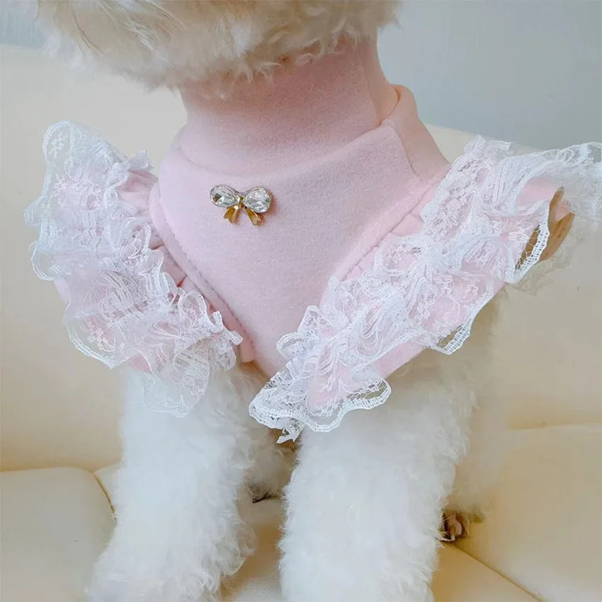 Lace Teddy Lingerie - ملابس الحيوانات الأليفة الخريف والشتاء قاعدة